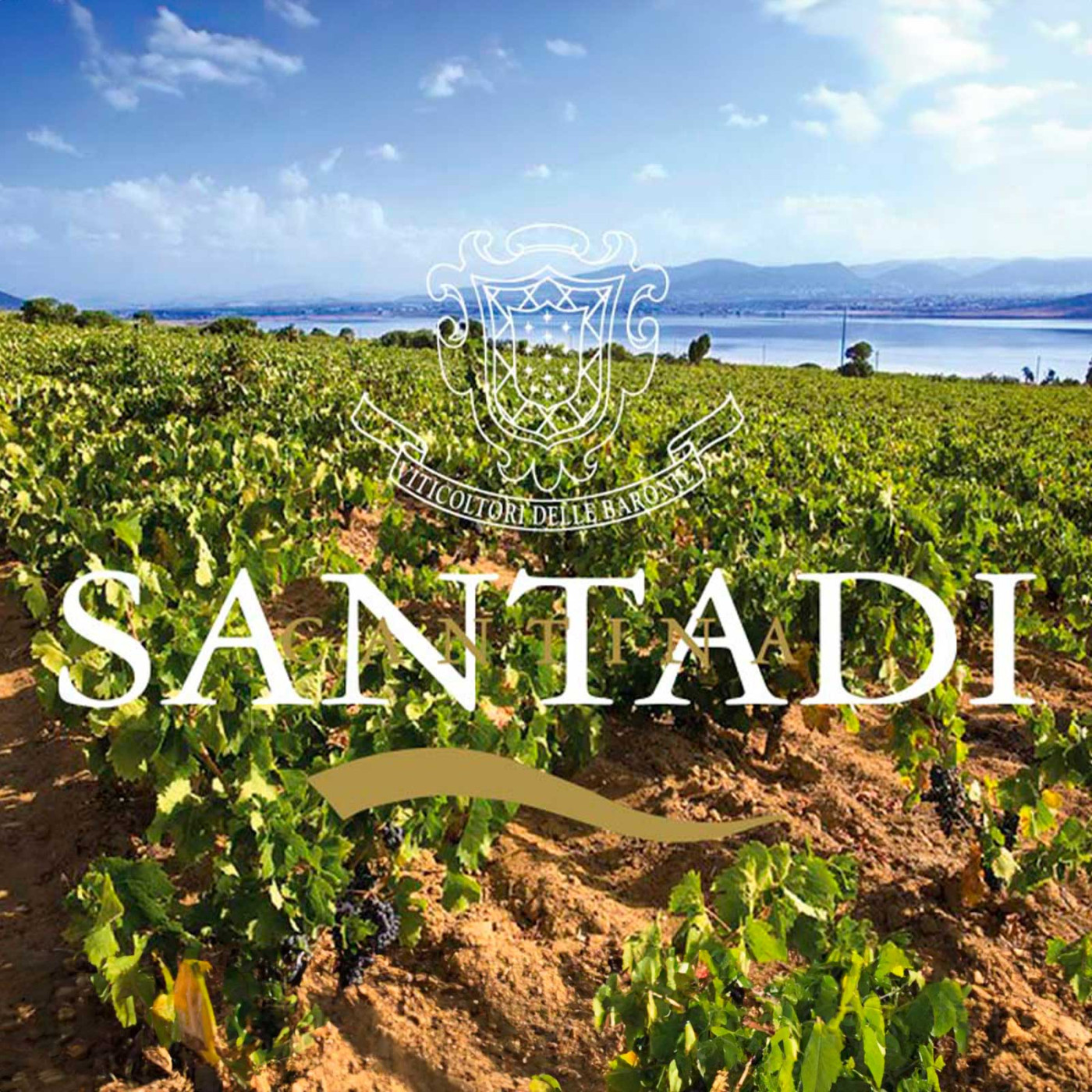 santadi-catalogo-prodotti-00