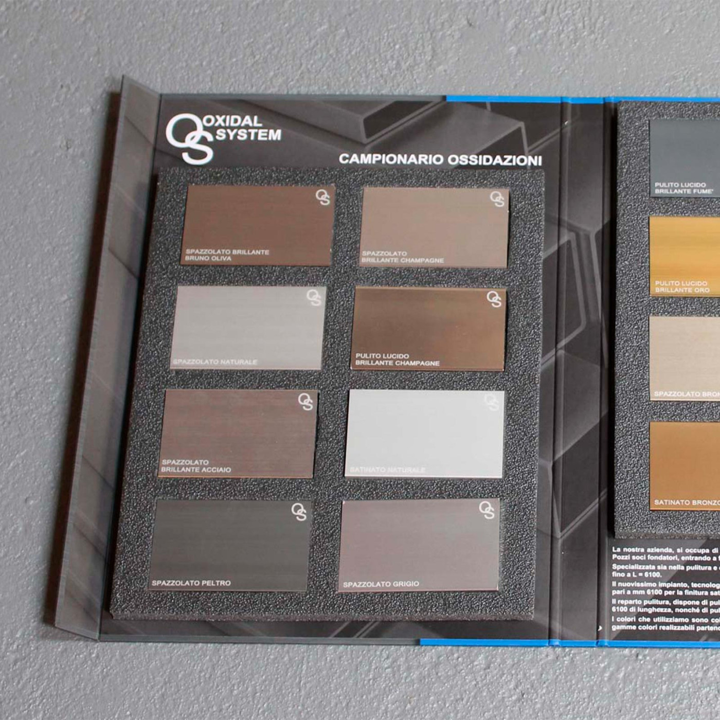 campionario-oxidal-02