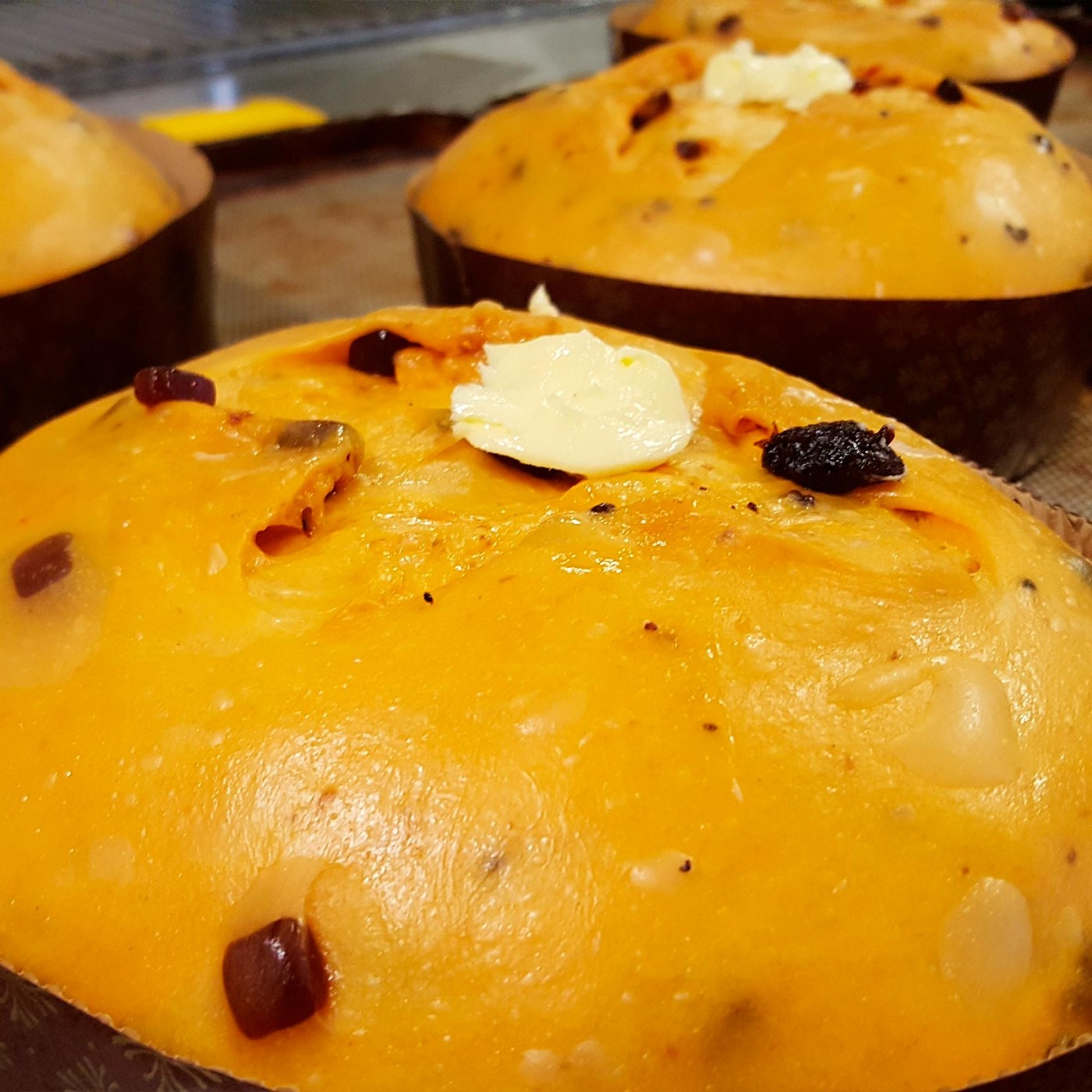 citterio-campagna-natale-05